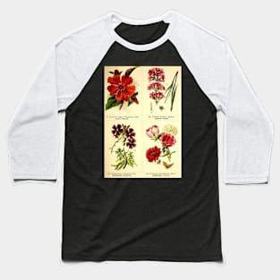 Vitage flower collection Baseball T-Shirt